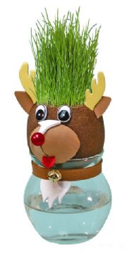 Grass Head